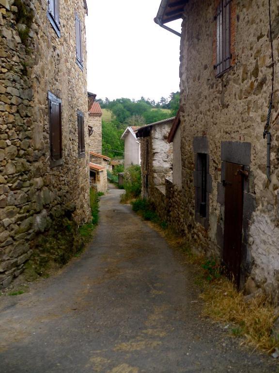 Le Panorama - Chambres D'Hotes - Cuisine Disponible Vieille-Brioude Kültér fotó